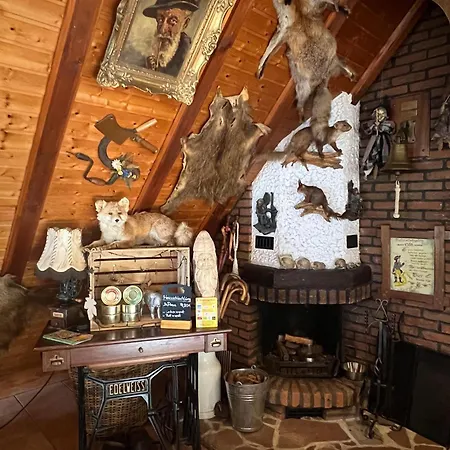度假居 Gemuetliches-kleines-ferienhaeuschen-nr-3-im-harz-fuer-max-3-personen-inkl-balkon Sieber