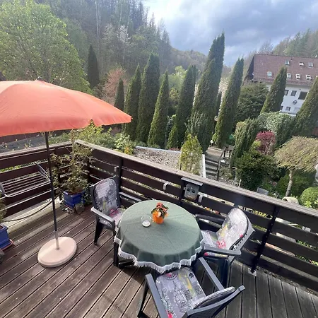 Gemuetliches-kleines-ferienhaeuschen-nr-3-im-harz-fuer-max-3-personen-inkl-balkon