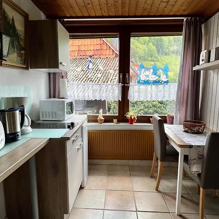 Gemuetliches-kleines-ferienhaeuschen-nr-3-im-harz-fuer-max-3-personen-inkl-balkon 度假居