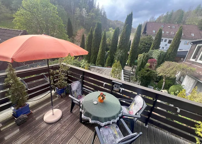 Gemuetliches-kleines-ferienhaeuschen-nr-3-im-harz-fuer-max-3-personen-inkl-balkon