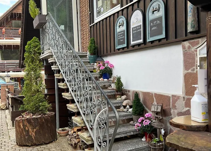 Dom wakacyjny Gemuetliches-kleines-ferienhaeuschen-nr-3-im-harz-fuer-max-3-personen-inkl-balkon