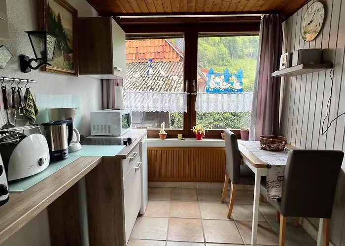 Gemuetliches-kleines-ferienhaeuschen-nr-3-im-harz-fuer-max-3-personen-inkl-balkon Dom wakacyjny