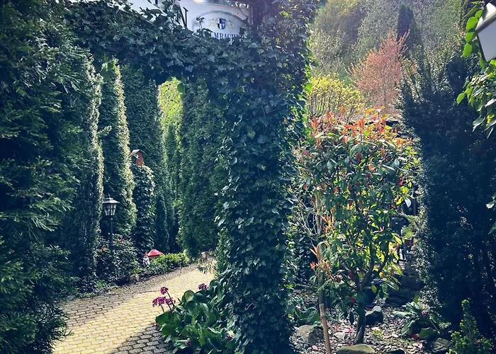 Gemuetliches-kleines-ferienhaeuschen-nr-3-im-harz-fuer-max-3-personen-inkl-balkon Sieber
